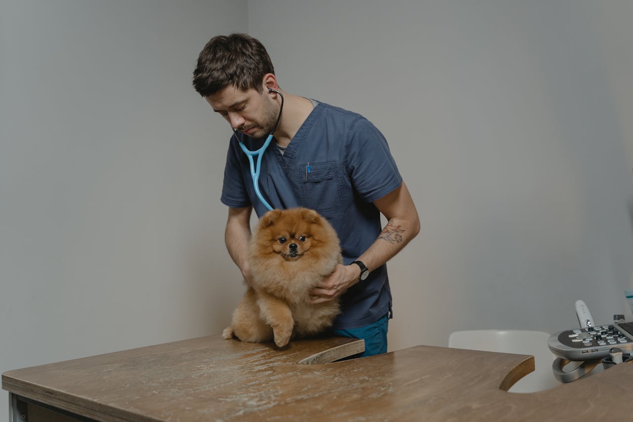 When an Animal Diagnostic Clinic Is the Right Choice